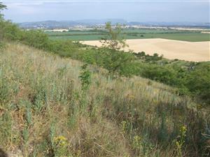 Vrch Dank - južný svah